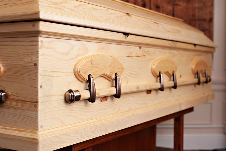 Swing Bar Handles